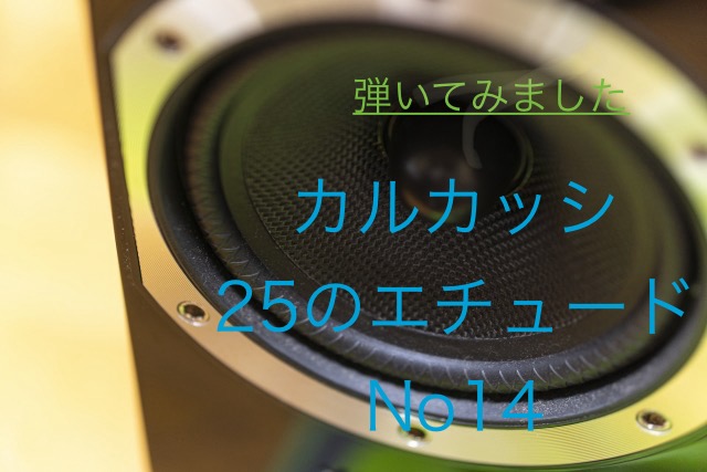 カルカッシNo14